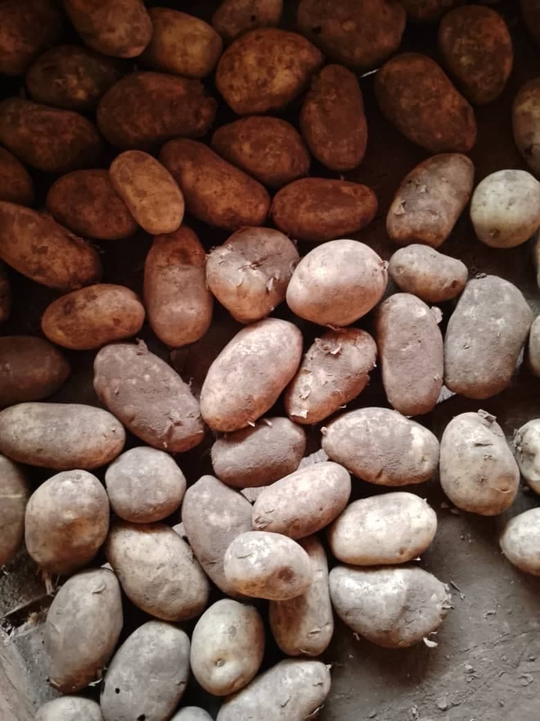 Irish potatoes