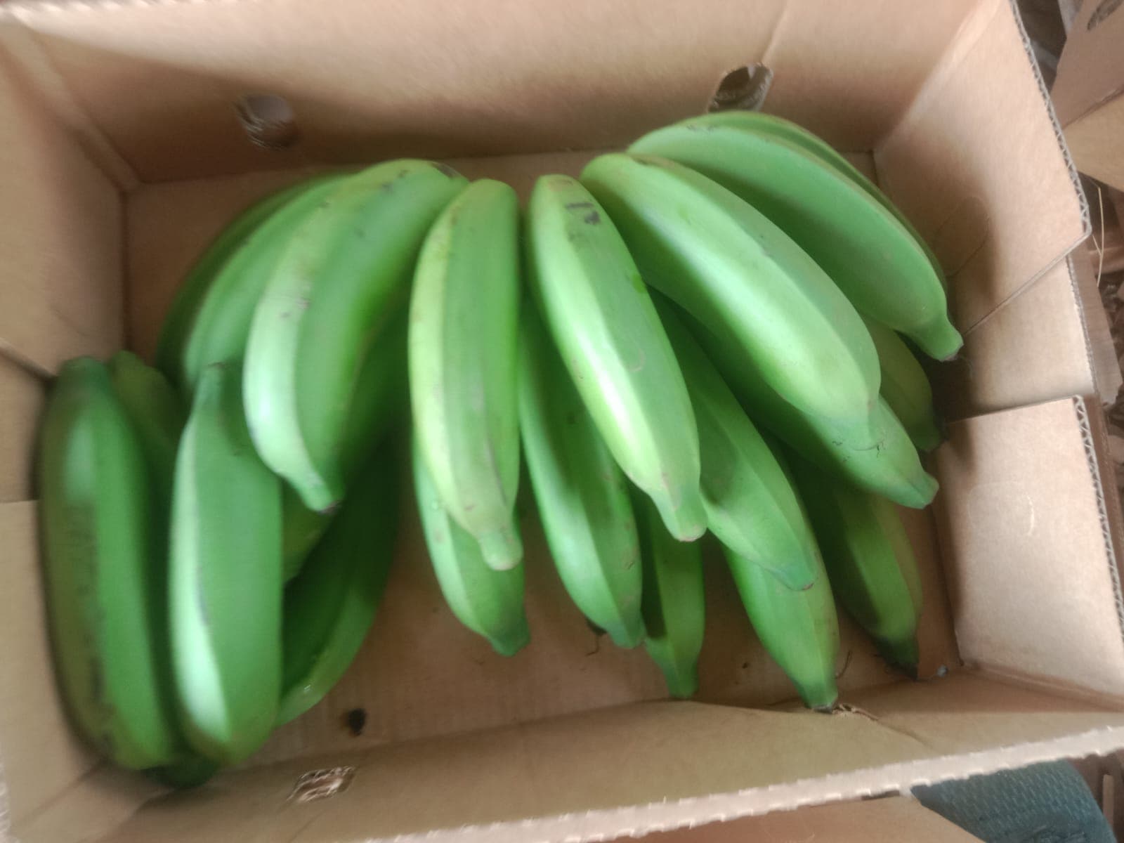 Apple banana