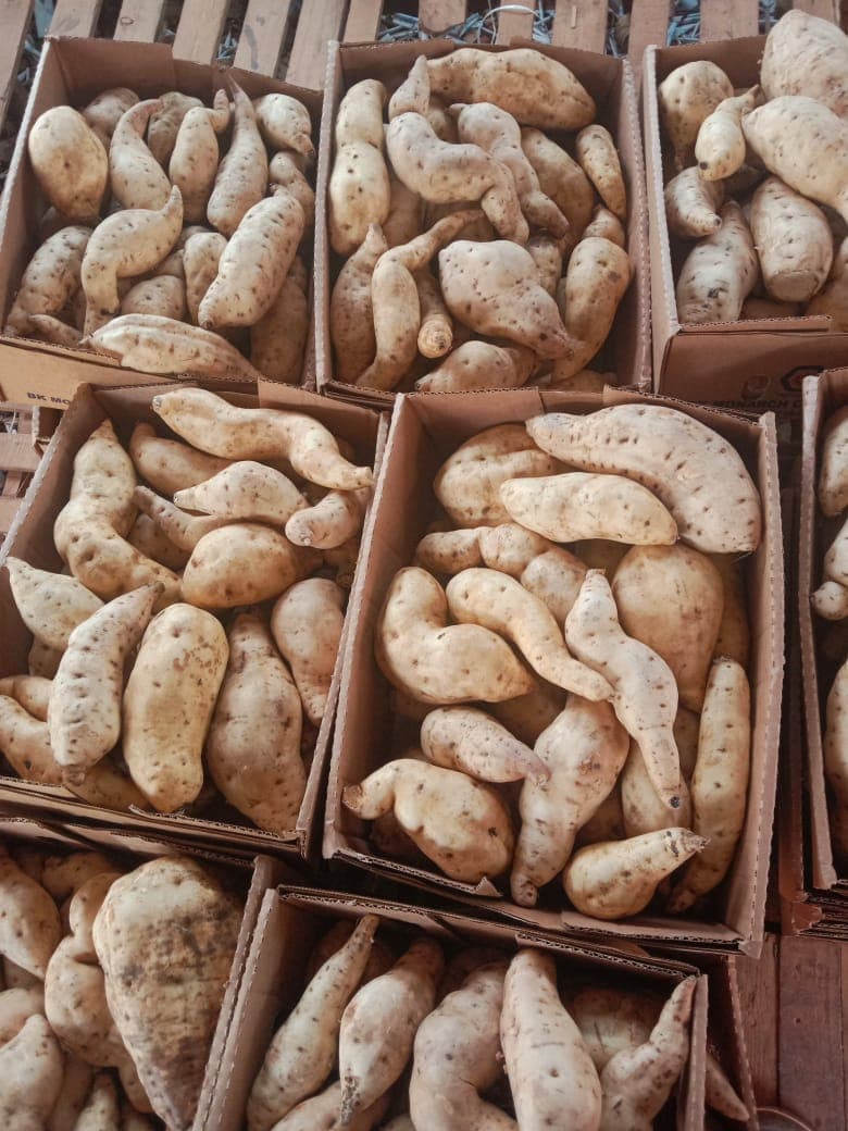 Sweet potatoes