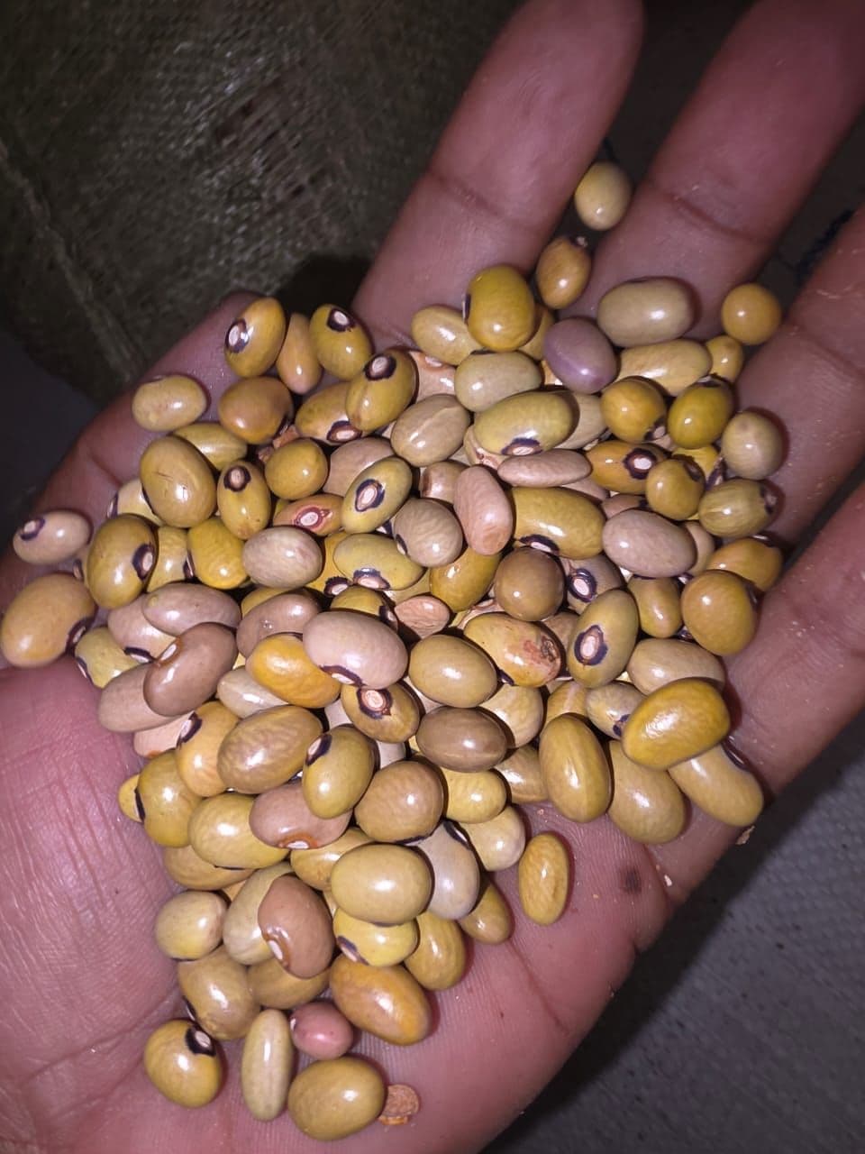 Yellow Beans