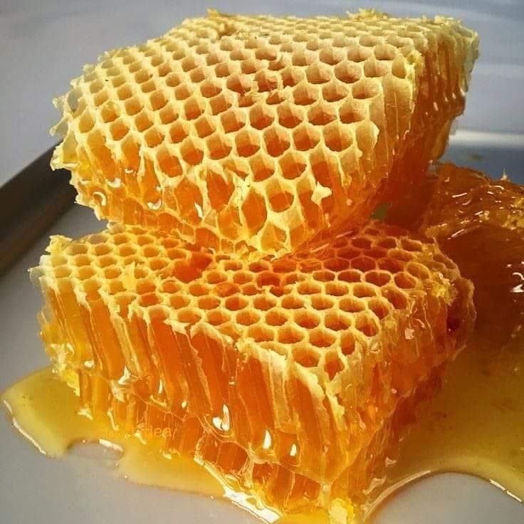Un Extracted Honey Combs