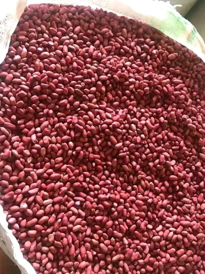 Ground nuts