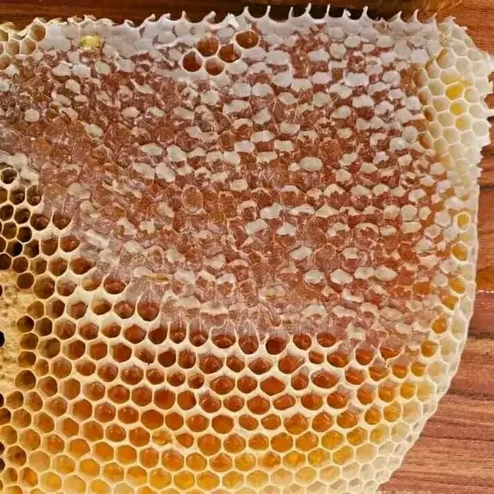 Honey