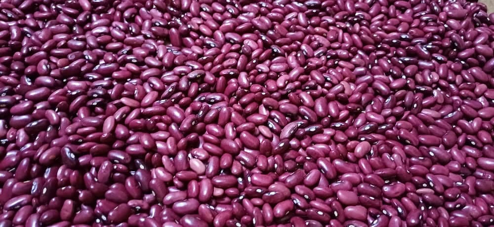 Beans