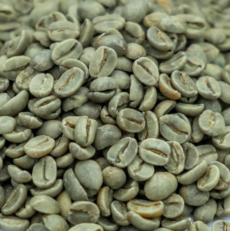 Green Robusta Coffee Beans, Screen 1500