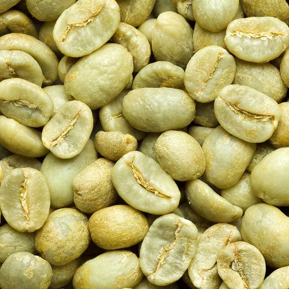 Green Robusta Coffee Beans, Screen 1800
