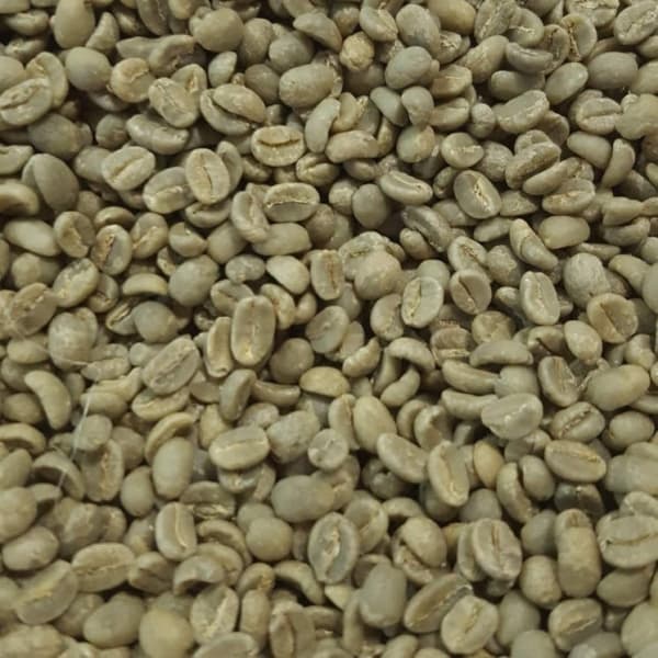 Natural Robusta coffee, screen 15