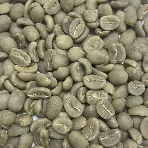 Washed Arabica AB coffee beans