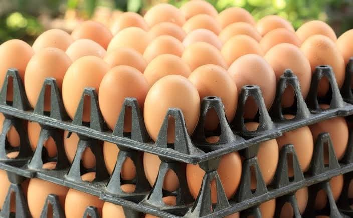 Chicken eggs