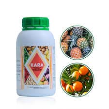 Kara 24x500ml