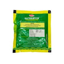 Bacterimycine 100x25