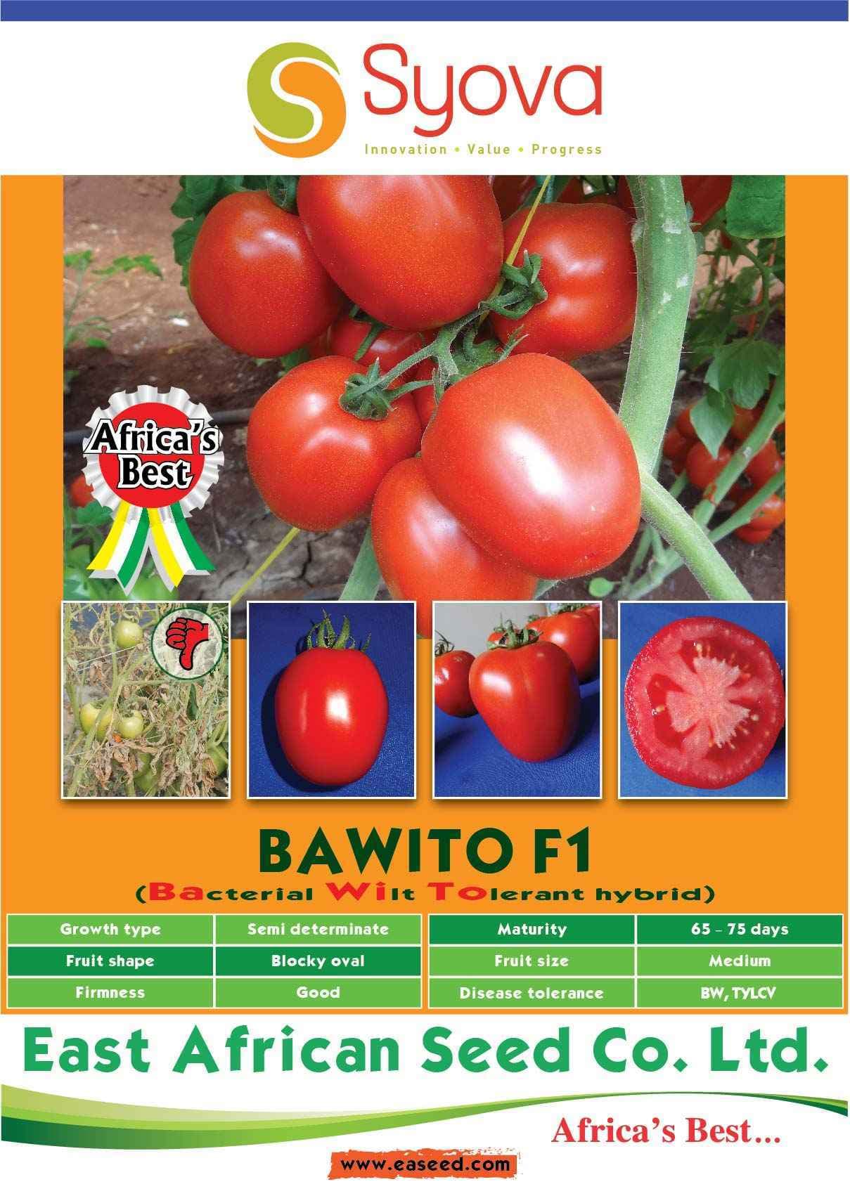 Bawito F1 Tomato Seeds