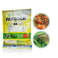 Fangocil 10x1kg