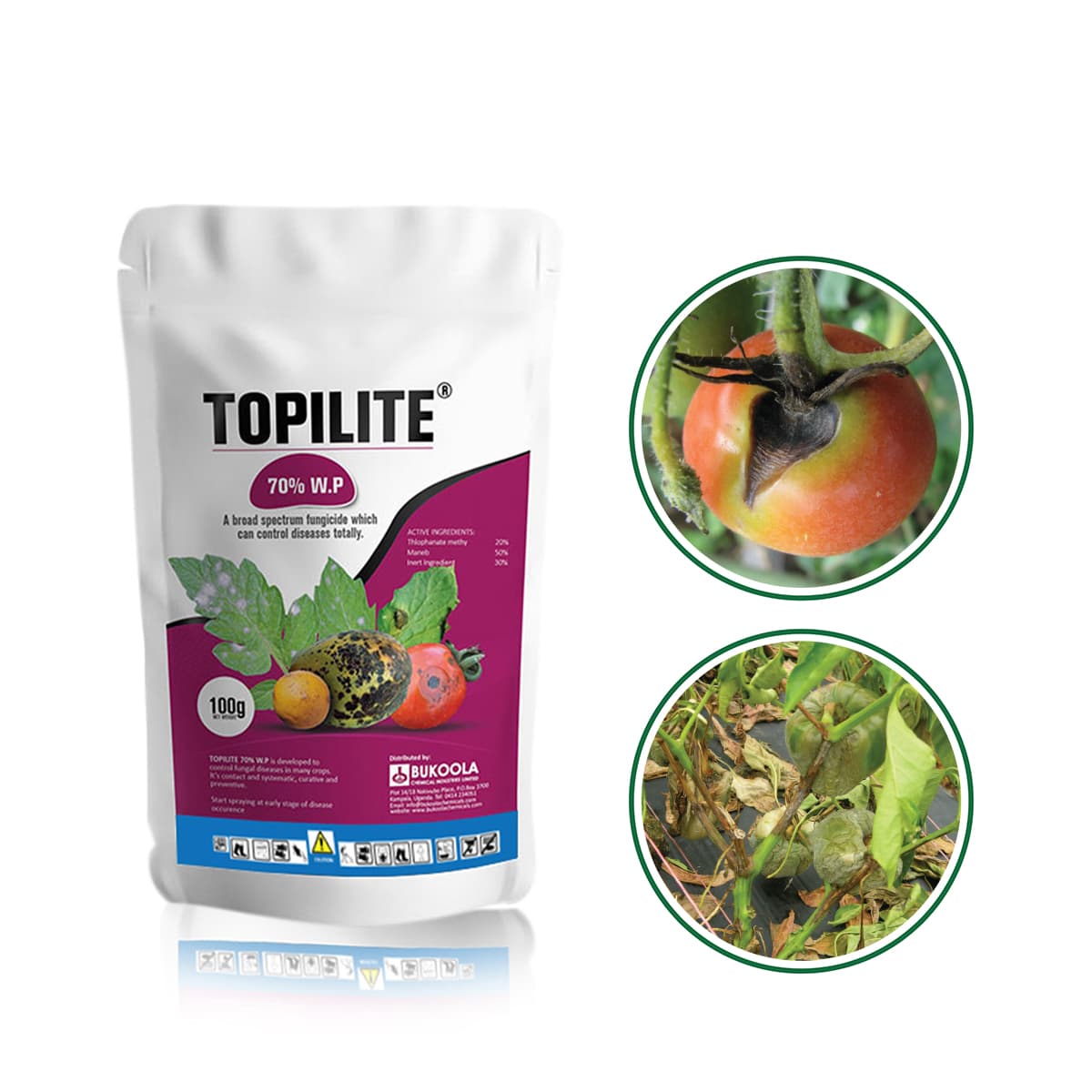 Topilite 50X100