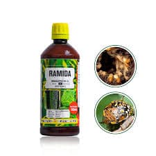 Ramida 100x1L