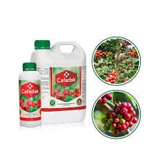 Cafedak 12X1LTR