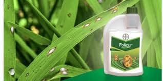 Folicur Fungicide