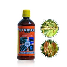 Striker 10x1Ltr