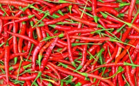 Red Chili Seeds