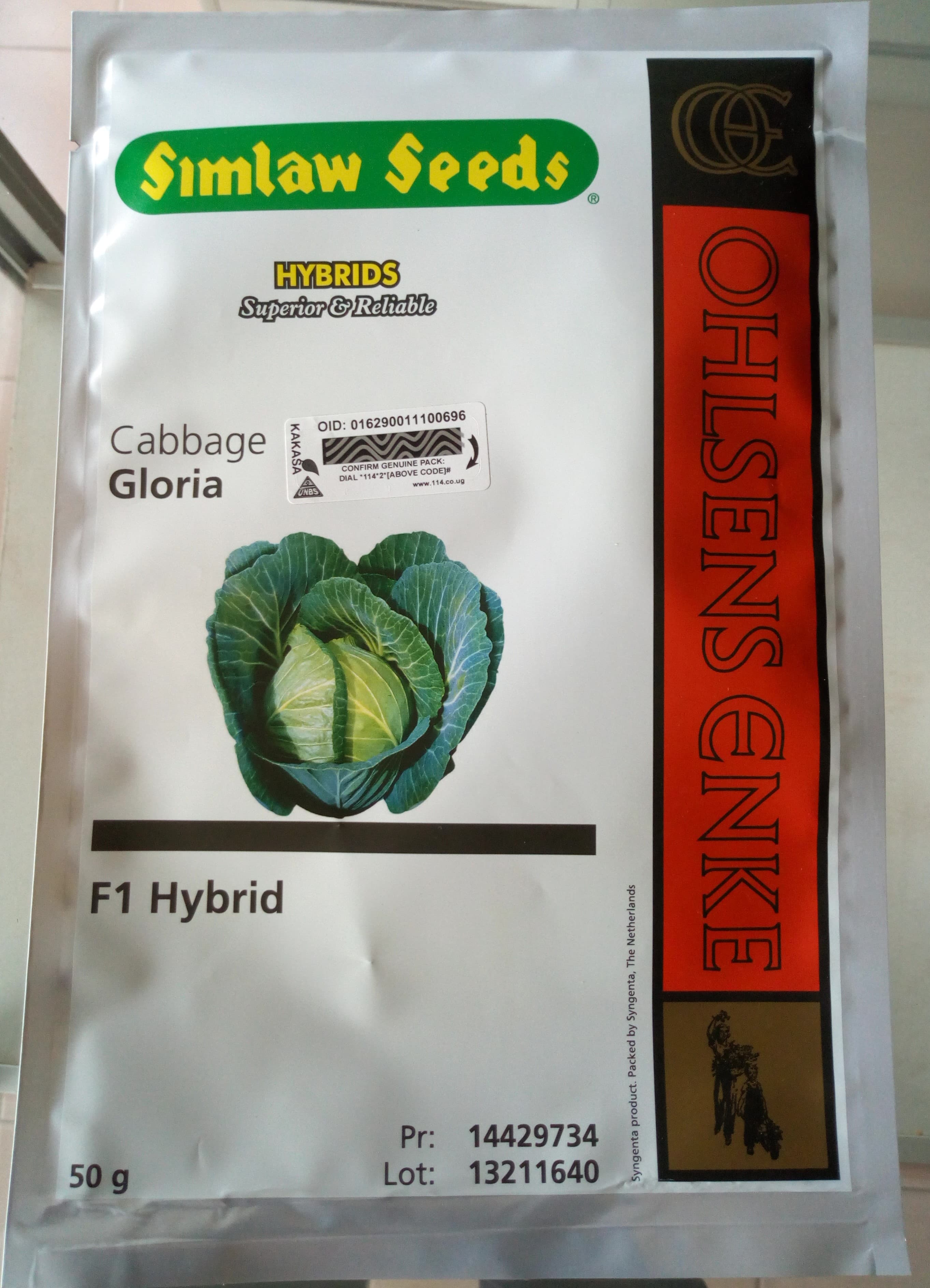 Gloria F1 Hybrid Cabbage Seeds