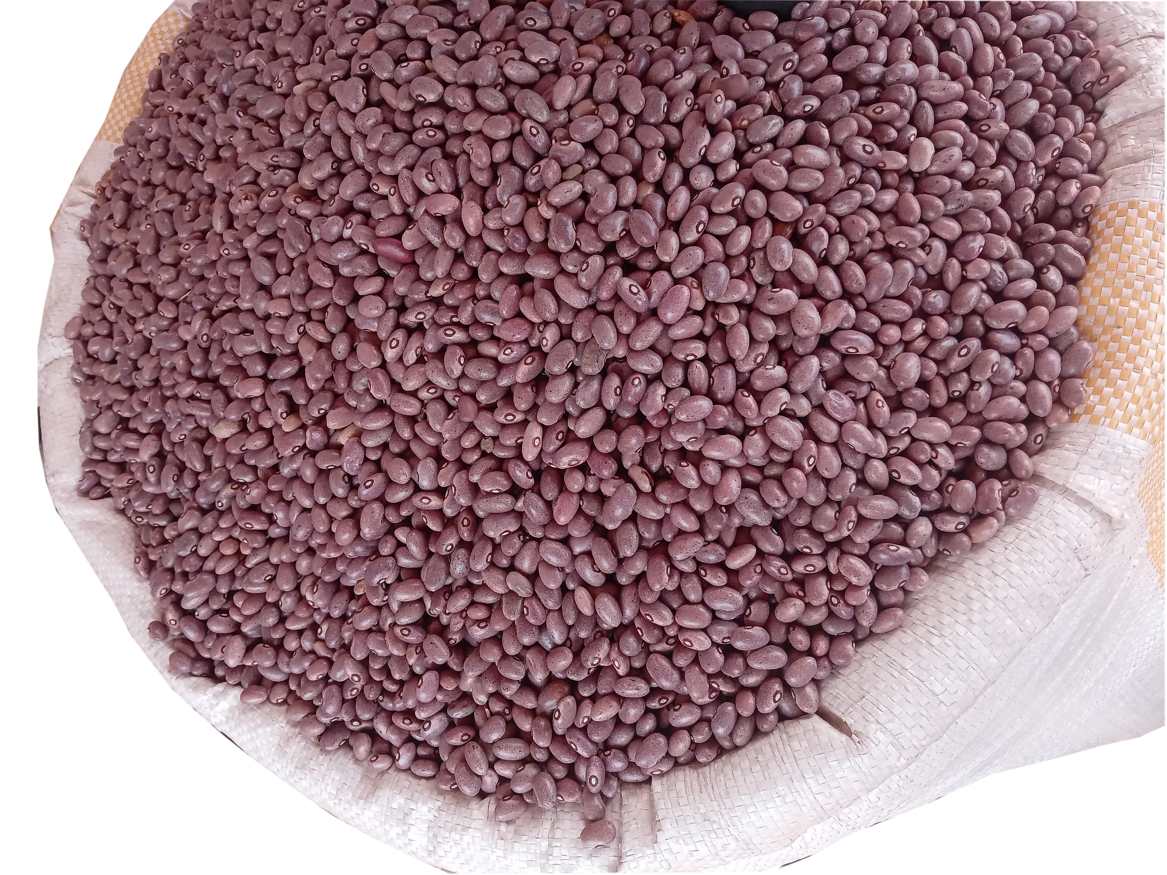 Beans