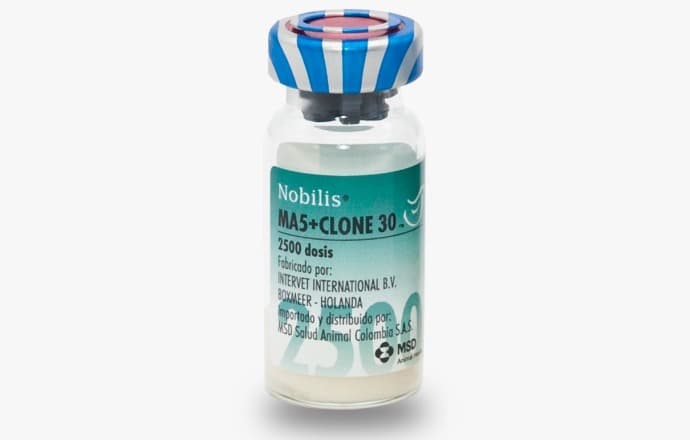 NOBILIS MA5 - CLONE 30 vaccine