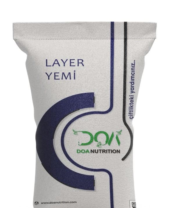 Layer Feed