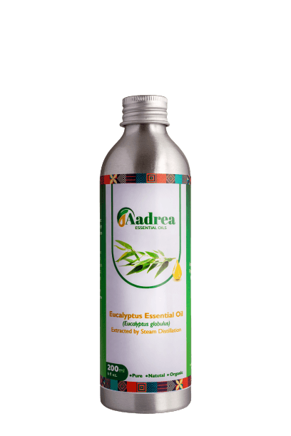 Eucalyptus globulus essential oil