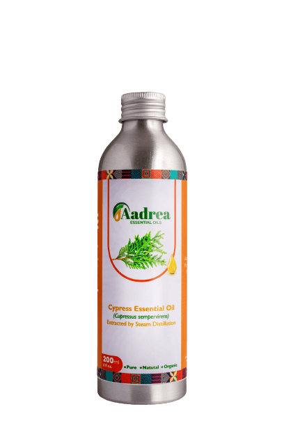 Cypress essential oil