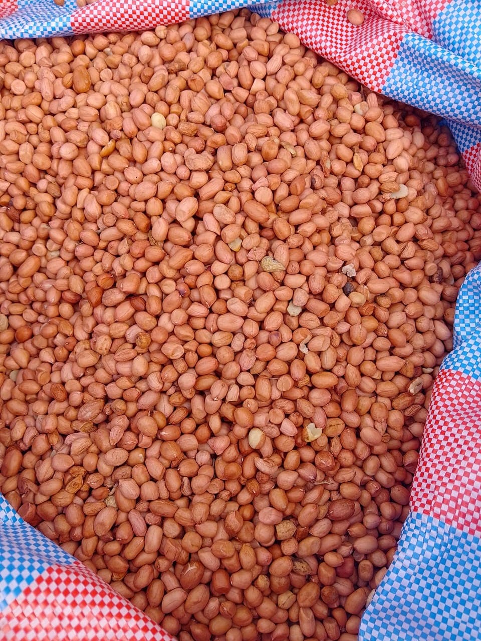 Peanuts