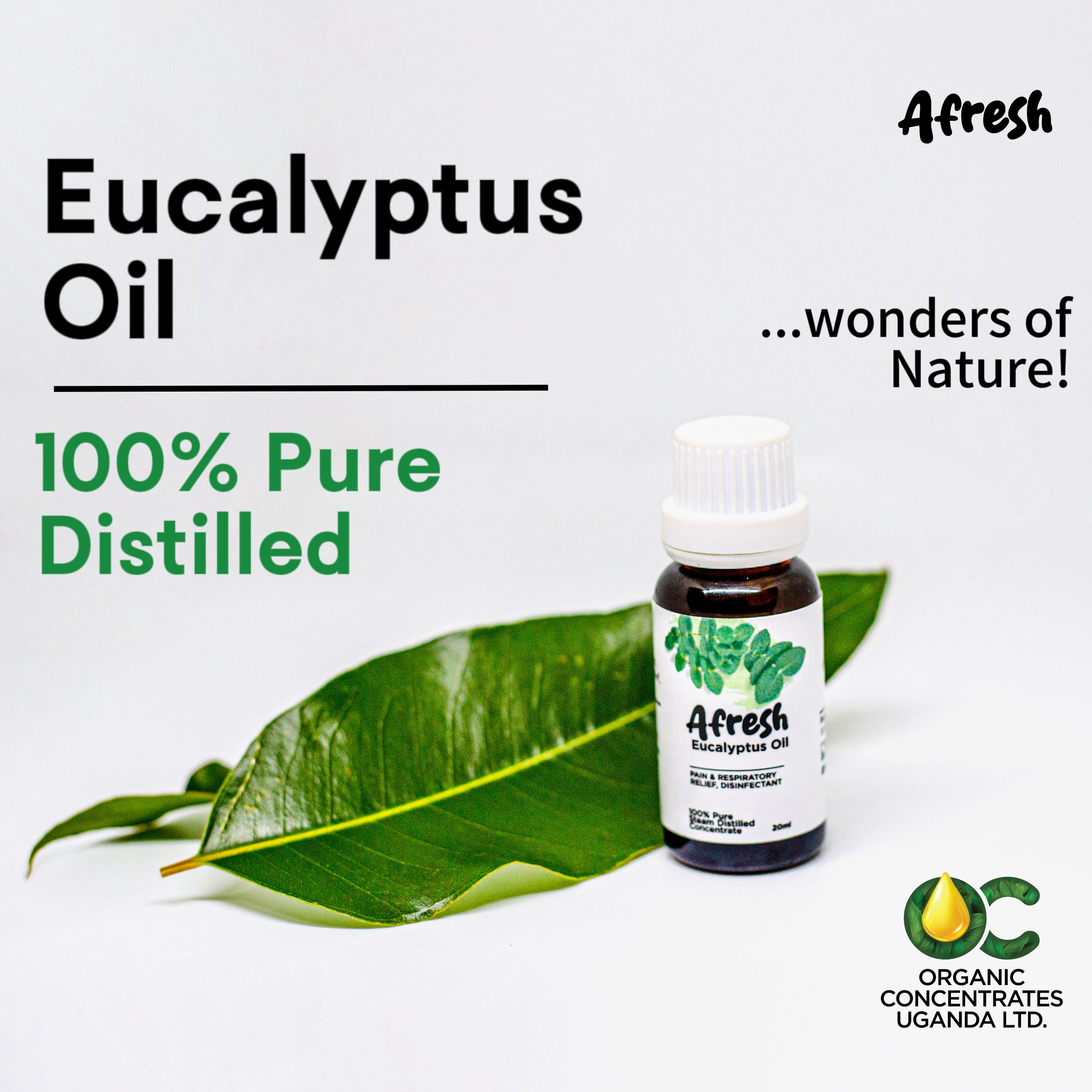 Eucalyptus Oil