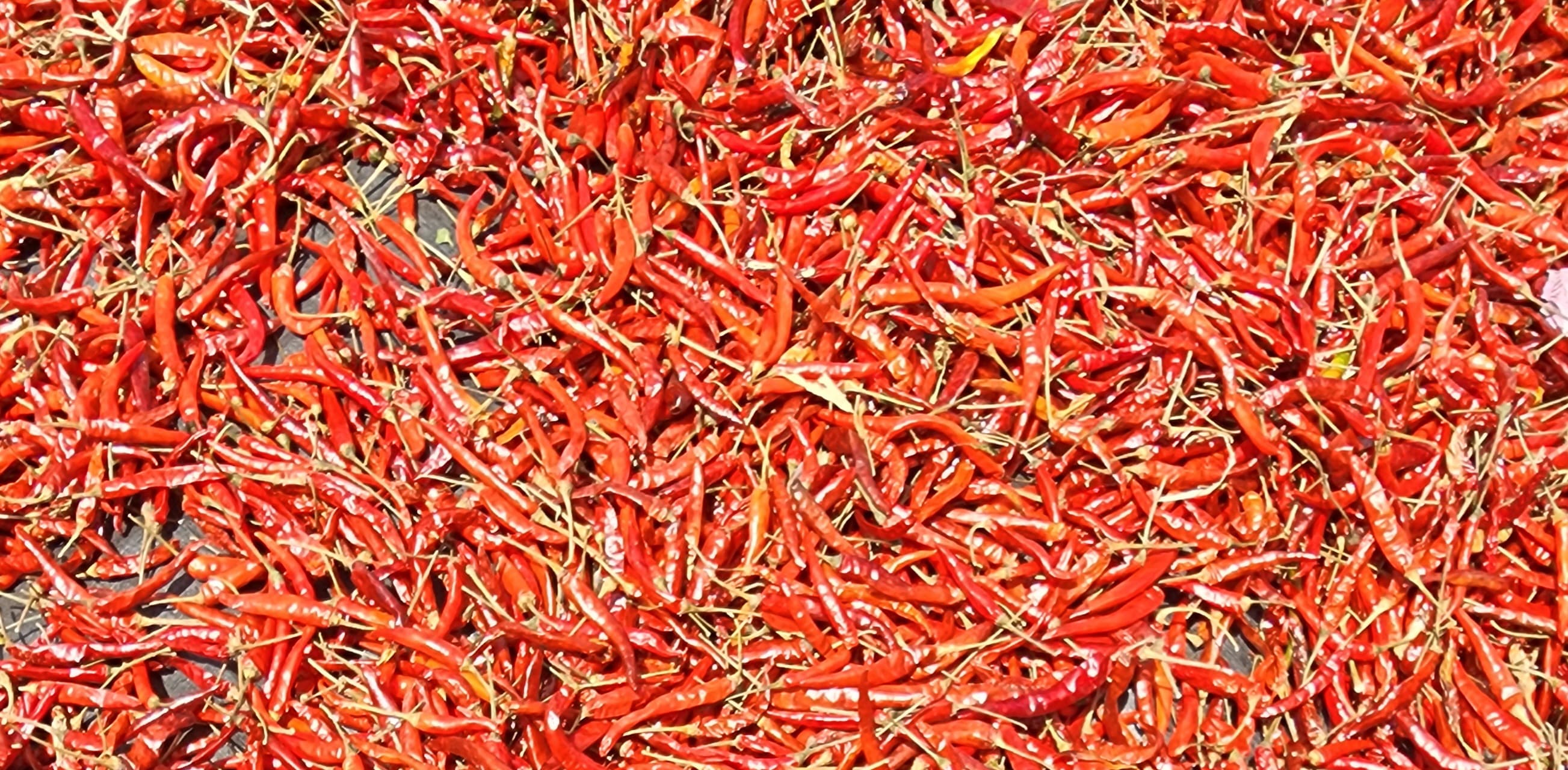 Dry Hot Chili