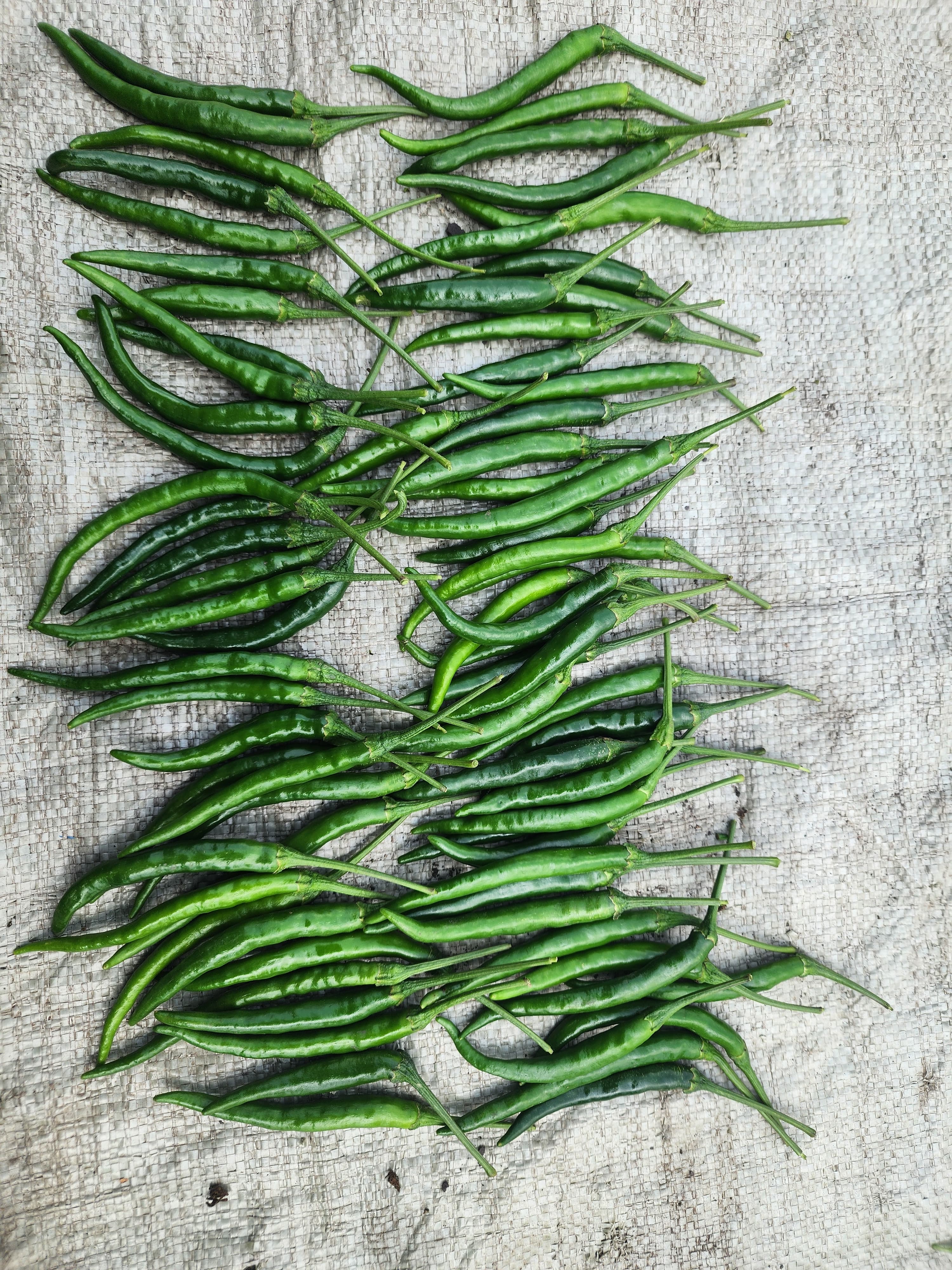 Green Chili