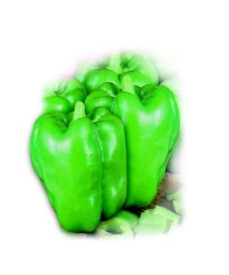 California Wonder Green Pepper Seeds