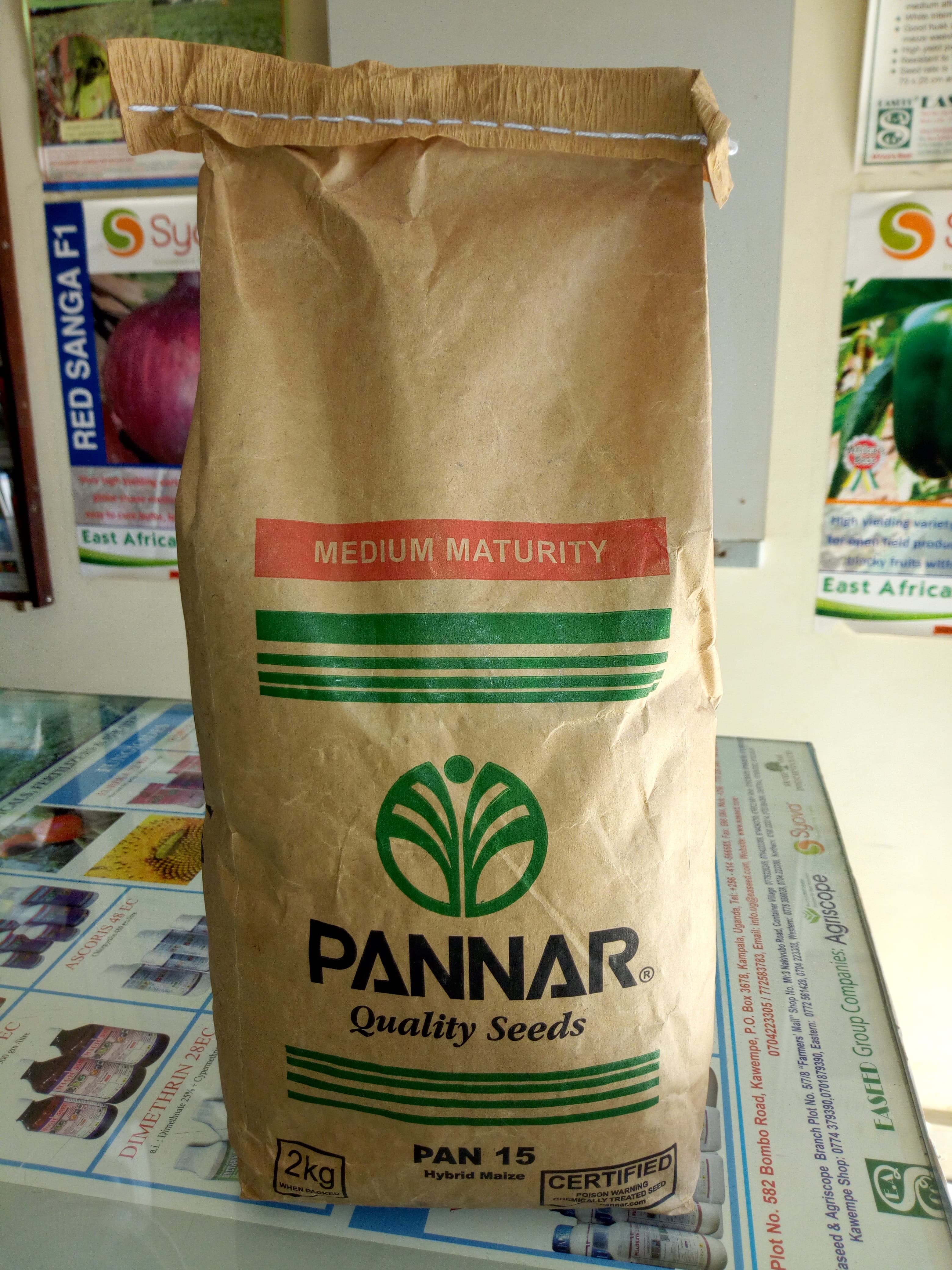 Pannar 15 maize seeds