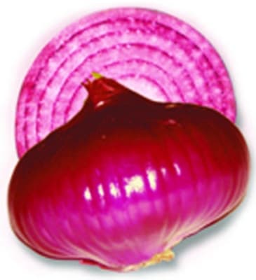 Red Creole onion seeds