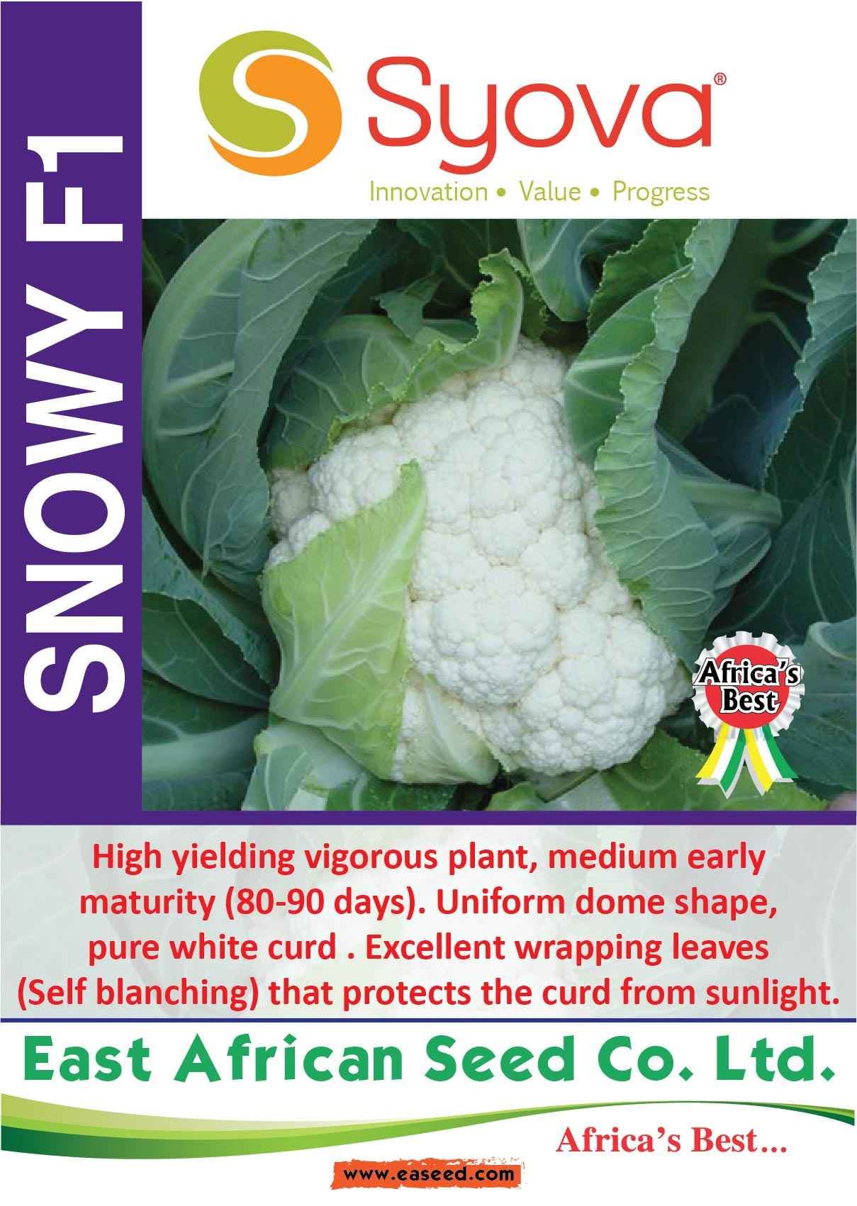 SNOWY F1 Cauliflower Seeds