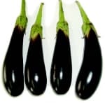 Long Purple Eggplant Seeds