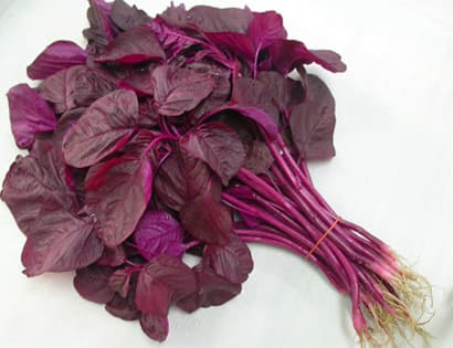 Red Bbugga Spinach Seeds