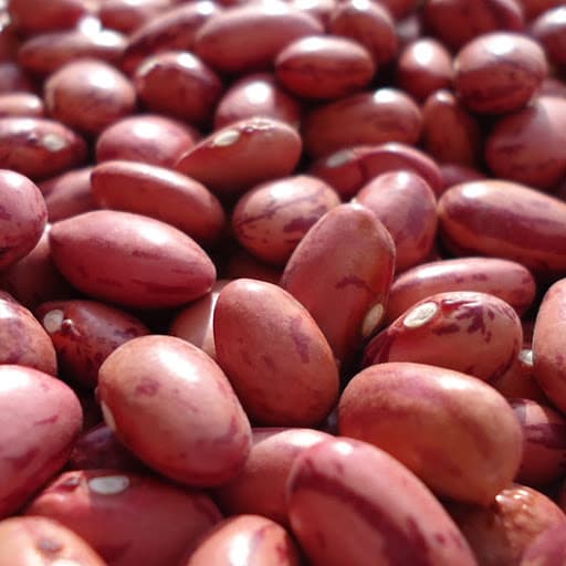 NABE 15 Beans seeds