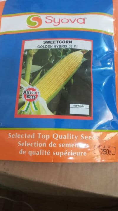 Golden Hybrix 53 F1 Sweet Corn Seeds