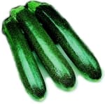 Dark Green Zuchini Courgette Squash