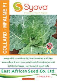 Collards Mfalme F1