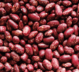 NABE 17 beans seeds