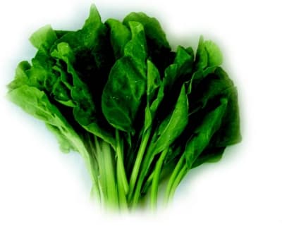 Doodo Terere Amaranthus Spinach Seeds