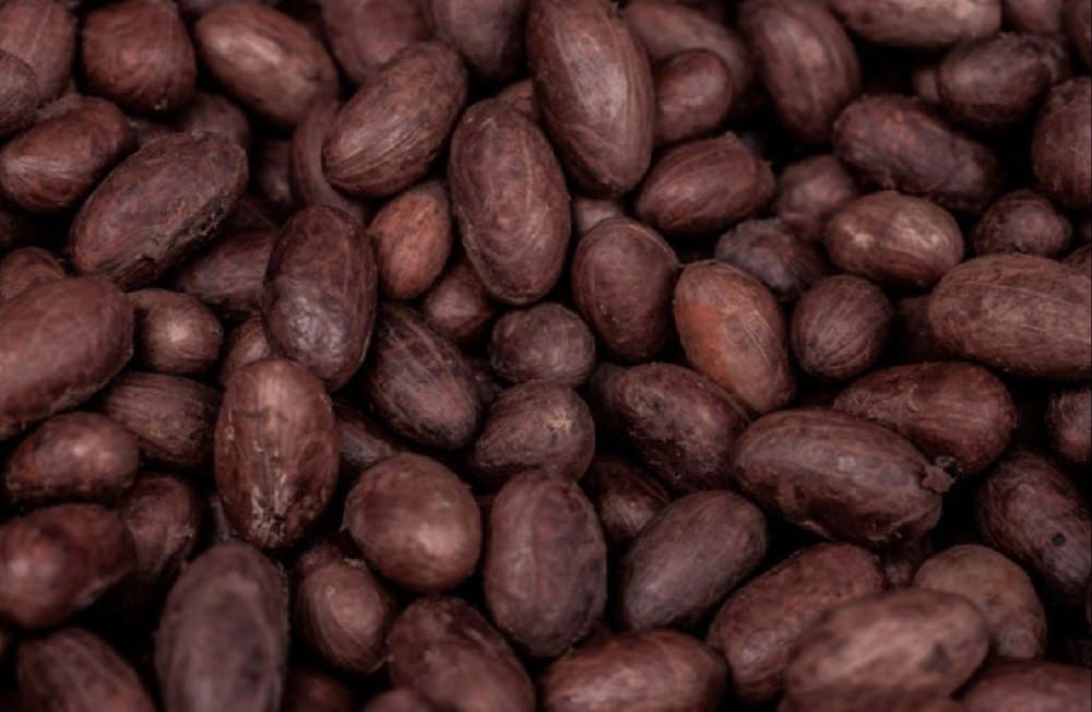 Dry Cocoa Beans