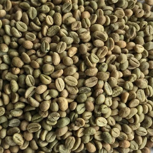 Green Robusta Coffee Beans