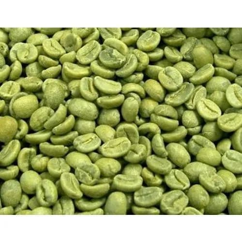 Washed Arabica Coffee Beans
