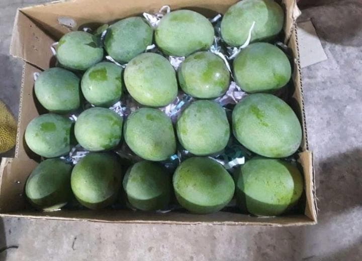 Mangoes