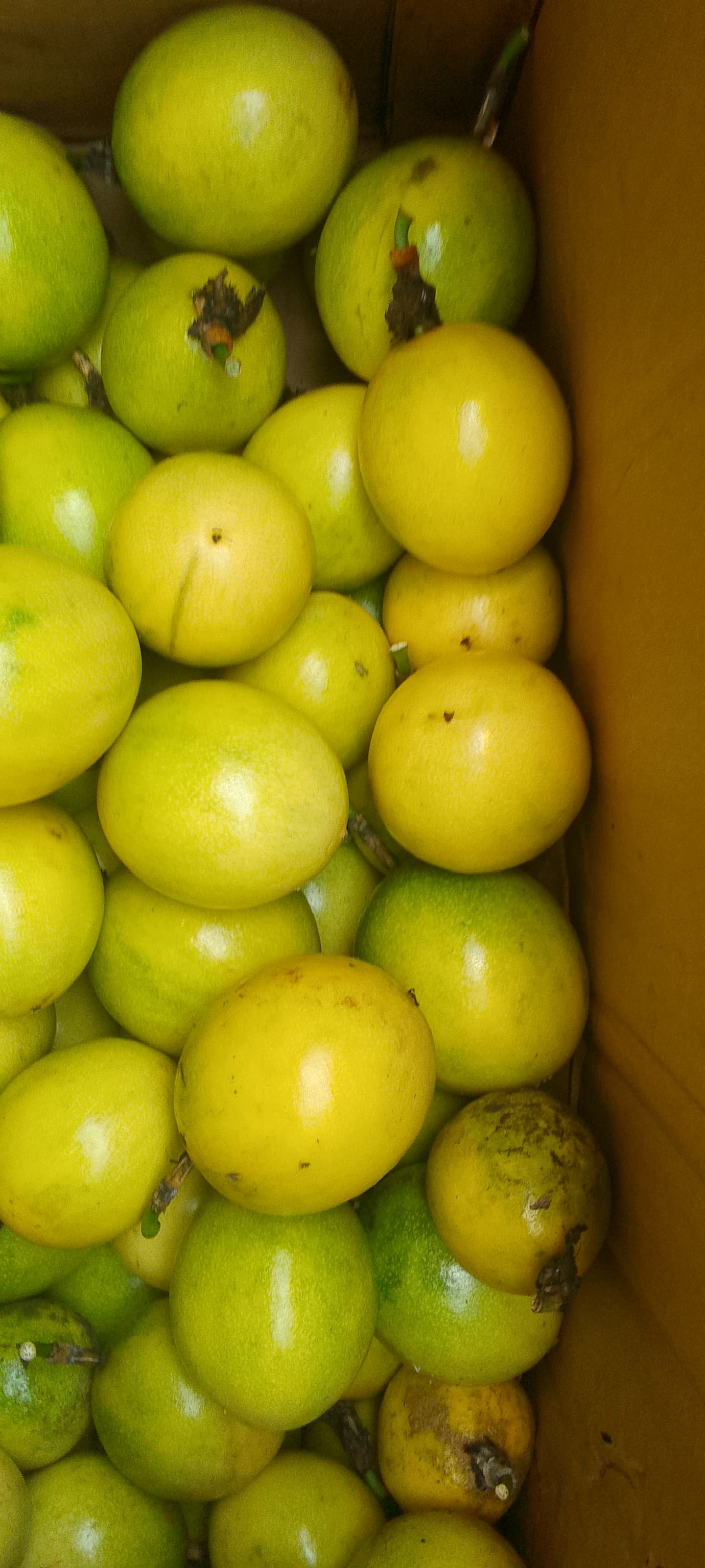 Passion fruits
